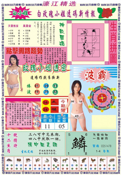 濠江精选B